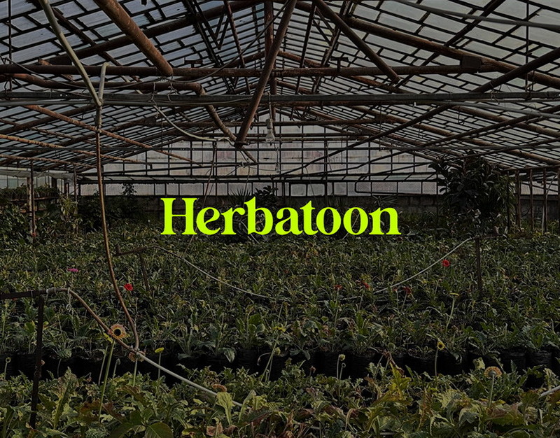 Дератизация в Москве: как избавиться от грызунов раз и навсегда